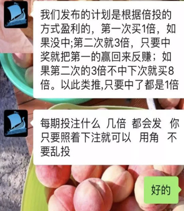 无需本金按计划下注日工资100的骗局