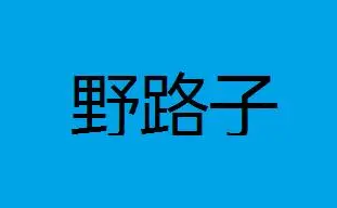 2024捞偏门来钱快的野路子项目