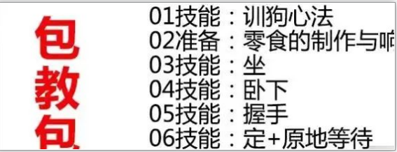 蓝海副业训狗赚钱项目，一单利润99元