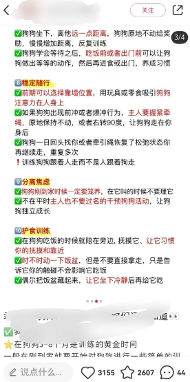 蓝海副业训狗赚钱项目，一单利润99元